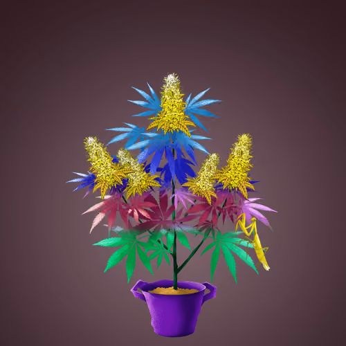 NFTokin #11430
