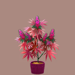 NFTokin #8739