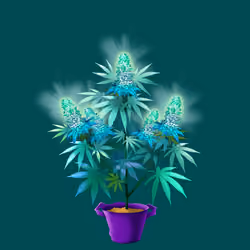 NFTokin #12103