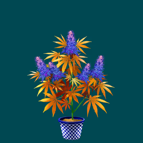 NFTokin #8470