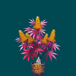 NFTokin #9040