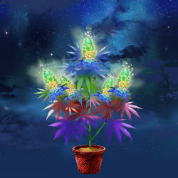 NFTokin #11748