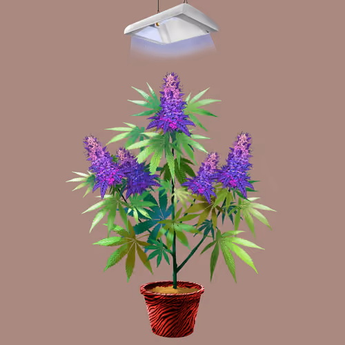 NFTokin #9747
