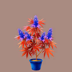 NFTokin #9430