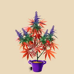 NFTokin #357