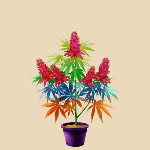 NFTokin #7890