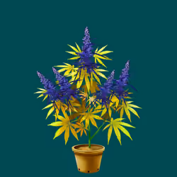 NFTokin #11724