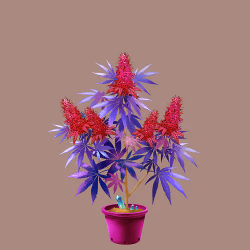 NFTokin #7958