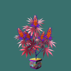 NFTokin #3399