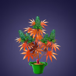 NFTokin #3770