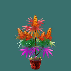 NFTokin #217