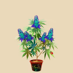 NFTokin #8329