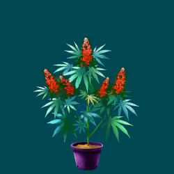 NFTokin #12874