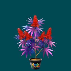 NFTokin #6186