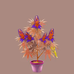 NFTokin #4332