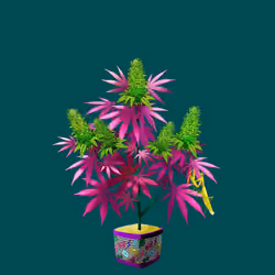 NFTokin #7825