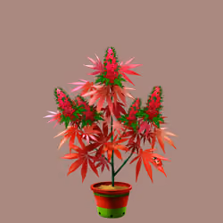 NFTokin #7582