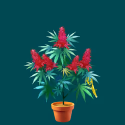 NFTokin #9496