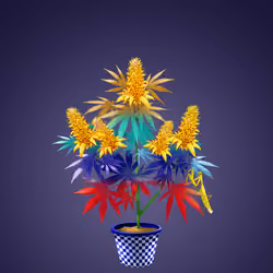 NFTokin #8034