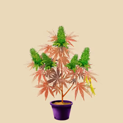 NFTokin #1404