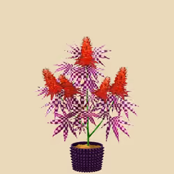 NFTokin #9141