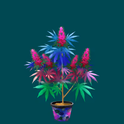 NFTokin #3454