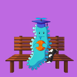 Drawing the Archaea