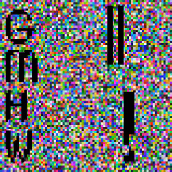 31