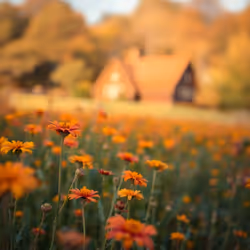 58404432475444510339561087189108309449053404958532028687546201746164424900675