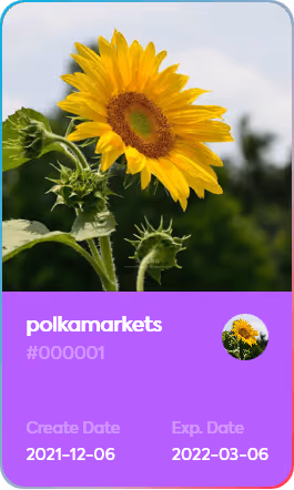 polkamarkets