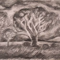 Spooky Trees