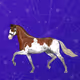 MuzzleRunHorses