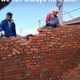 sydney_bro.lens-Collect-128