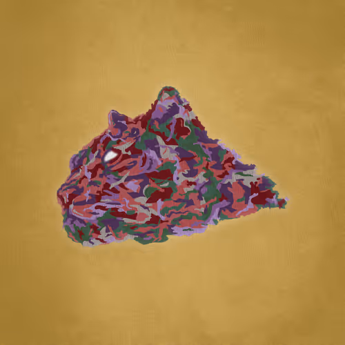 Item #67 Media