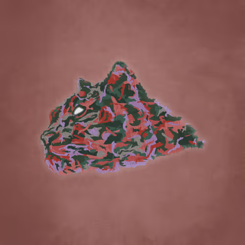 Item #69 Media