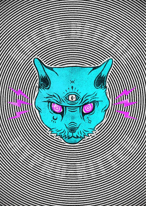 Item #81042675430387432549532683884852742157690982758195683420161947385860638900251 Media