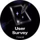 User Survey