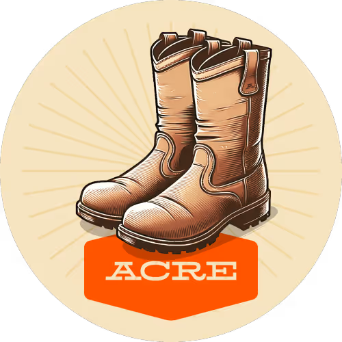 Quest 2: Explore the Acre.fi Website!