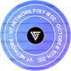 VF Network POLY #02