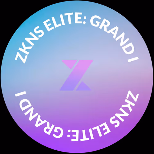 zkSync Name Service Elite: Grand I - 10,000 USD Wo