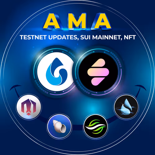 Sui News - The Wave to Mainnet