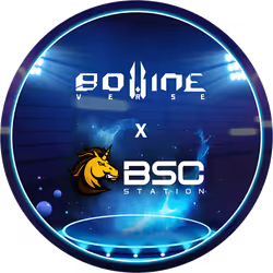 BovineVerse X BSCStation Partnership