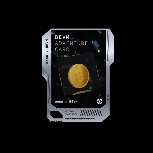 oooo x BEVM ADVENTURE CARD