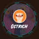 Ostrich x Space ID reached a collaboration