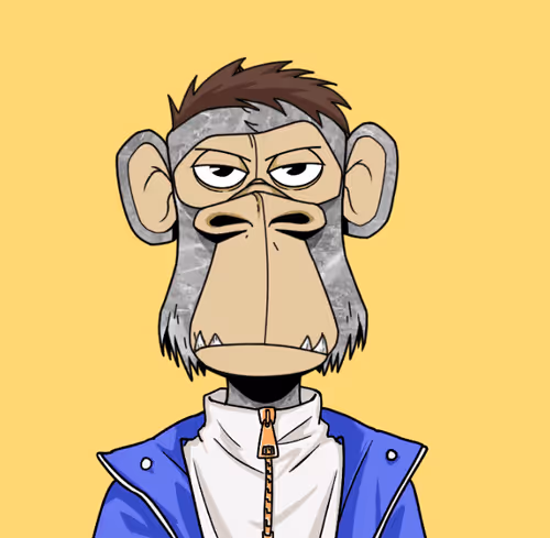 NexonFi Users x Bored Punk APE