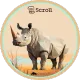 Explore Scroll with rhino.fi