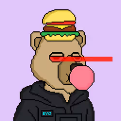 8161