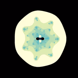 #236