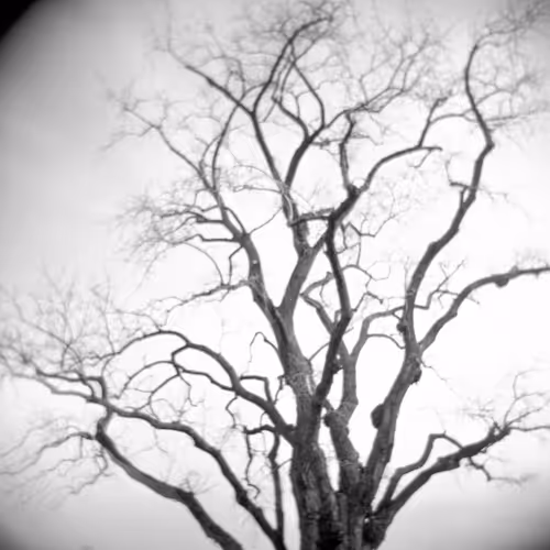 Praetorianphoto