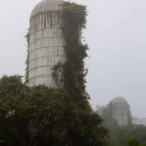 Praetorianphoto